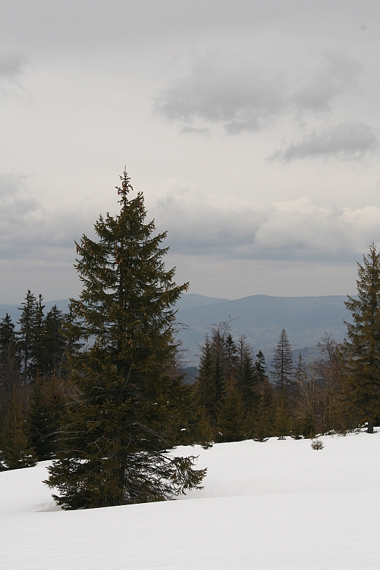 Turbacz 22.03.08 041